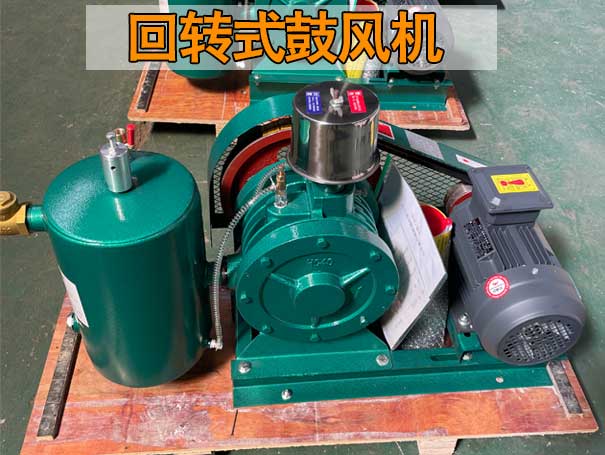 回轉式風(fēng)機與羅茨風(fēng)機在性能上有哪些差異？